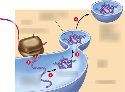 liac solution has ppts after autoclaving|Identification of eukaryotic secreted and cell surface proteins .